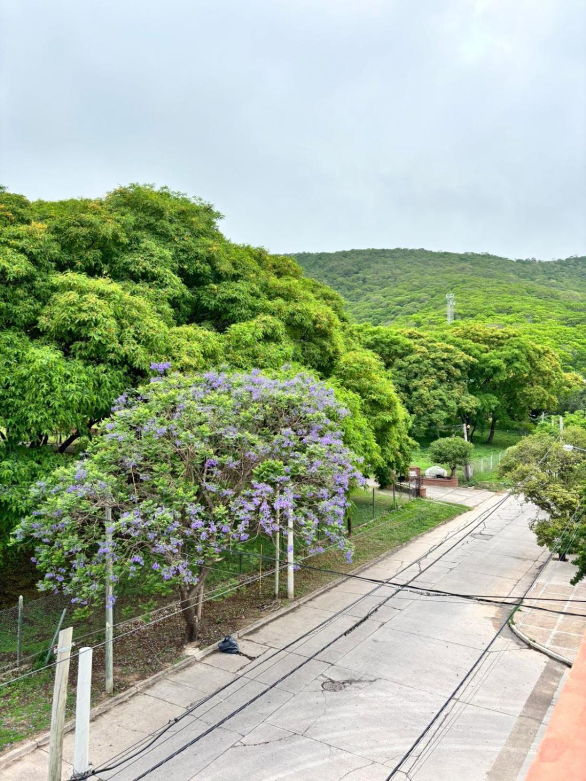 Guest House Salta Ngoại thất bức ảnh